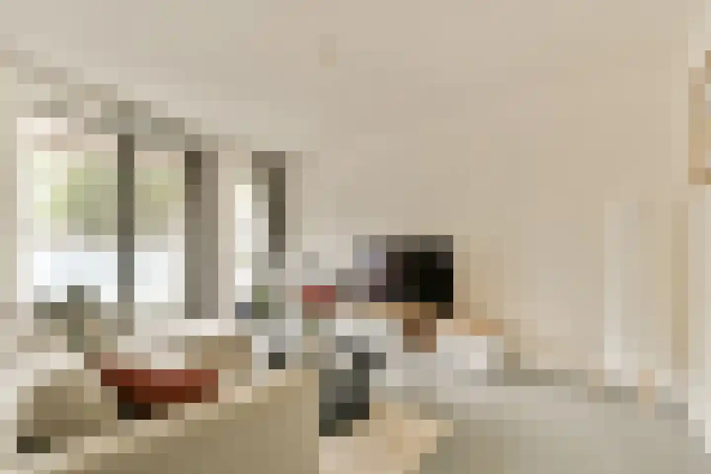 Marius Meijboomstraat 5 Amsterdam thumbnail 7