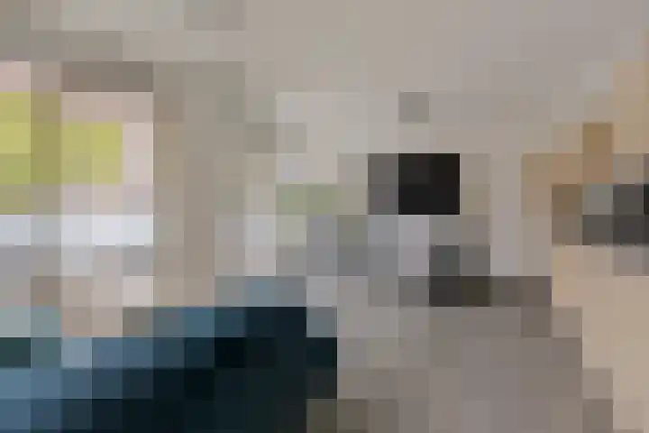 Marius Meijboomstraat 7 Amsterdam thumbnail 12