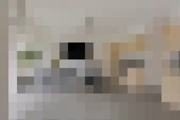 Marius Meijboomstraat 7 Amsterdam thumbnail 13