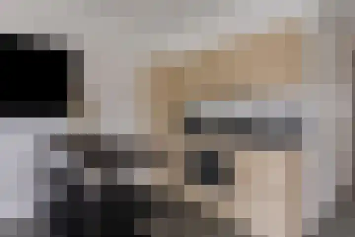 Marius Meijboomstraat 7 Amsterdam thumbnail 15
