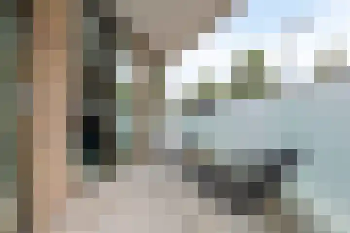 Marius Meijboomstraat 7 Amsterdam thumbnail 19