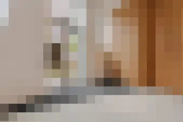 Marius Meijboomstraat 7 Amsterdam thumbnail 6