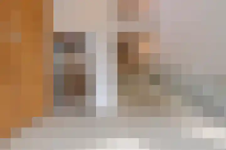 Marius Meijboomstraat 7 Amsterdam thumbnail 7
