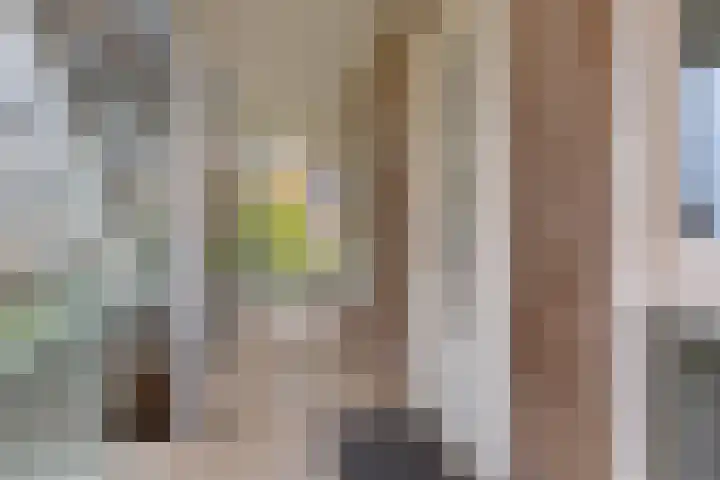 Marius Meijboomstraat 7 Amsterdam thumbnail 8