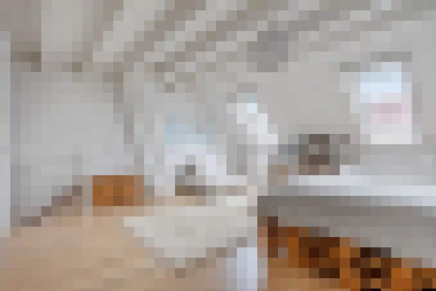 Marius Richtersstraat 14 Rotterdam thumbnail 22