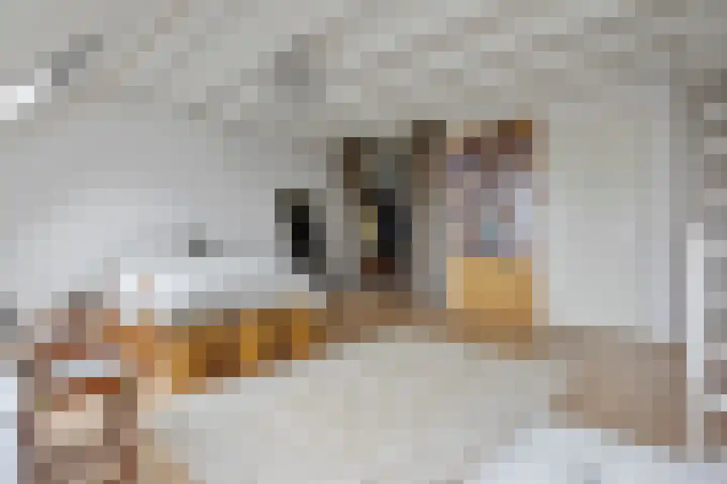 Marius Richtersstraat 14 Rotterdam thumbnail 24