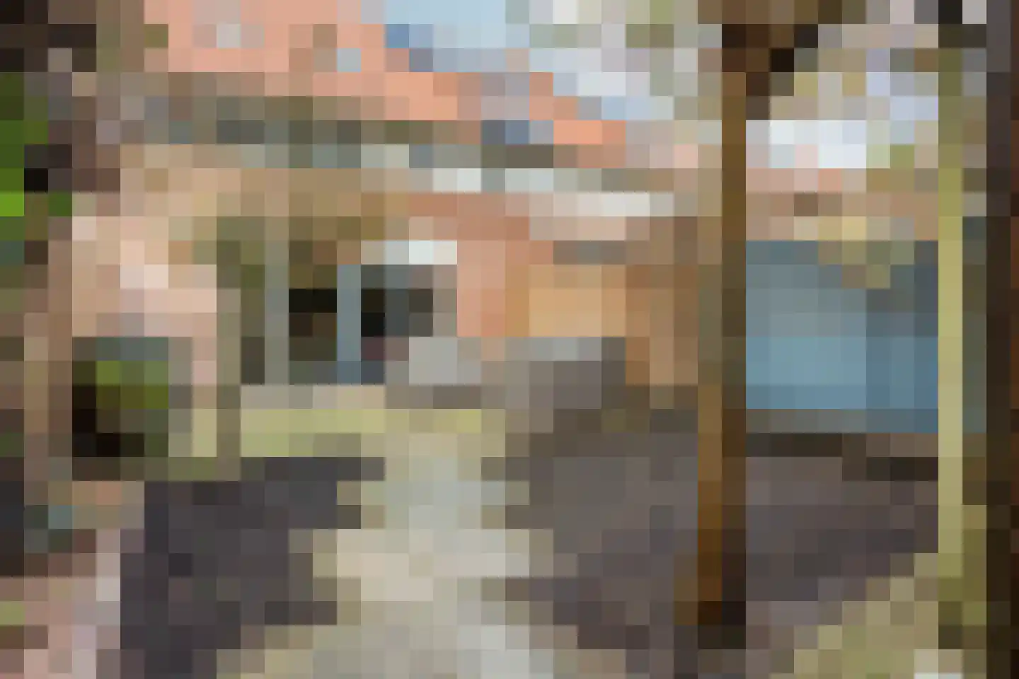 Marius Richtersstraat 14 Rotterdam thumbnail 4
