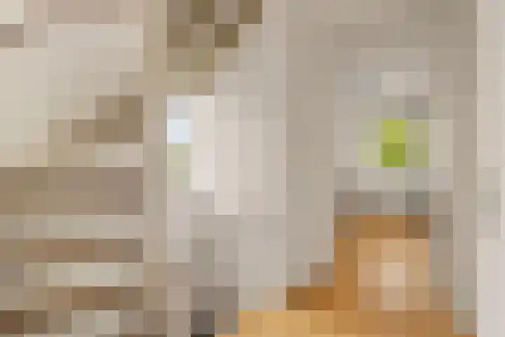 Marius Richtersstraat 15 Rotterdam thumbnail 29