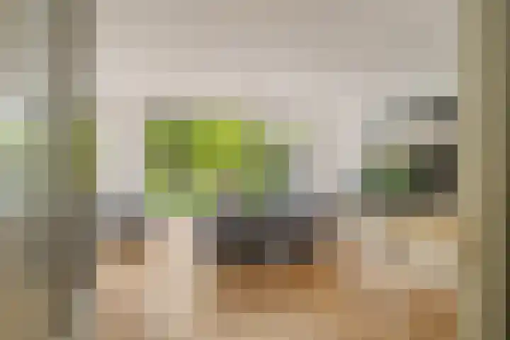Marius Richtersstraat 15 Rotterdam thumbnail 7