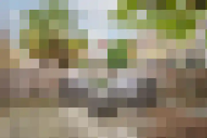 Marius Richtersstraat 19 Rotterdam thumbnail 37