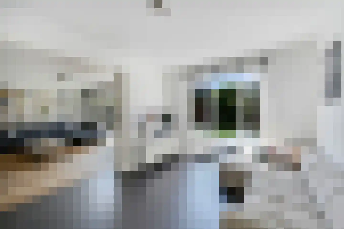 Marius Richtersstraat 64 Rotterdam thumbnail 15