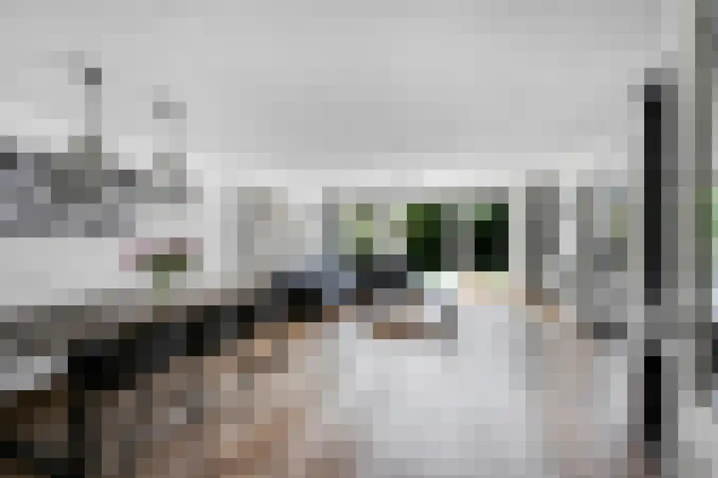 Marius Richtersstraat 64 Rotterdam thumbnail 8