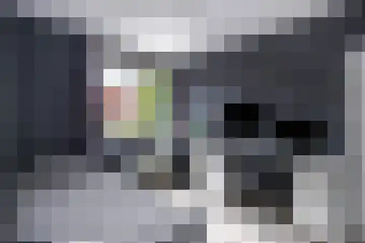 Marius Richtersstraat 9 Rotterdam thumbnail 11
