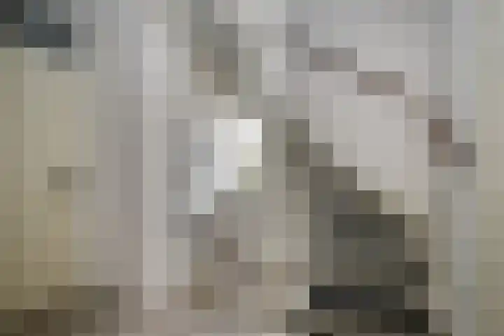 Marius Richtersstraat 9 Rotterdam thumbnail 16