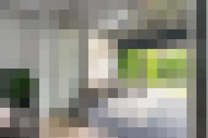 Marius Richtersstraat 9 Rotterdam thumbnail 19