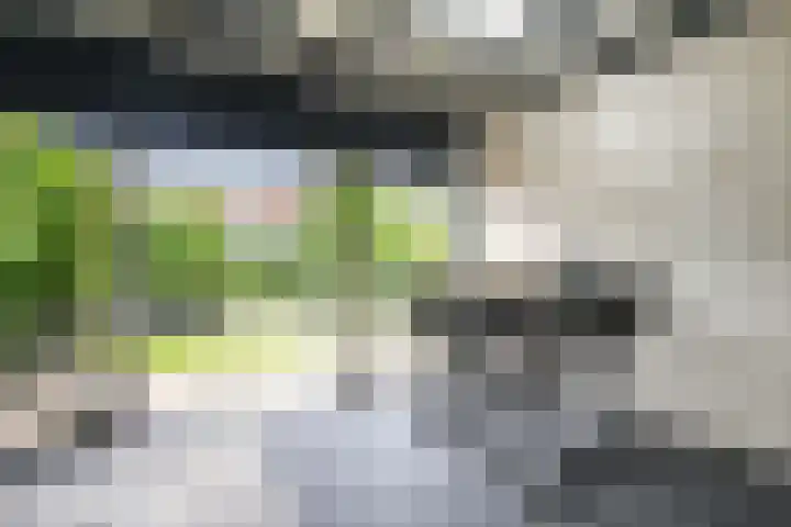 Marius Richtersstraat 9 Rotterdam thumbnail 20
