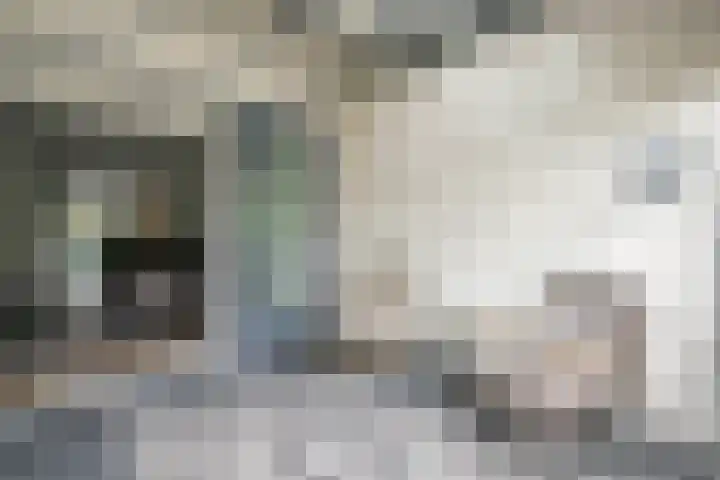 Marius Richtersstraat 9 Rotterdam thumbnail 21