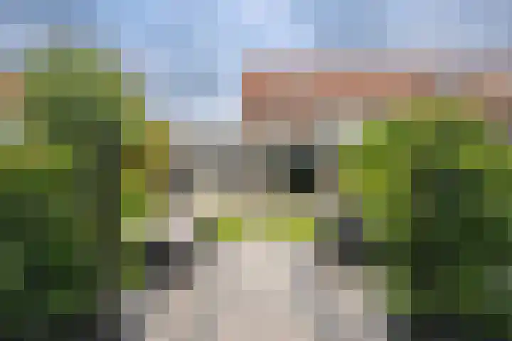 Marius Richtersstraat 9 Rotterdam thumbnail 32