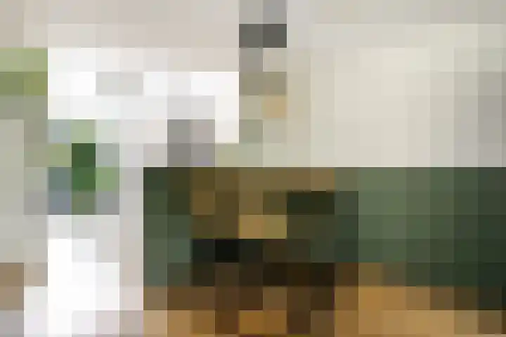 Marius Richtersstraat 9 Rotterdam thumbnail 8