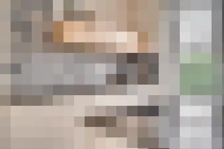 Mariushof 26 Heide thumbnail 12