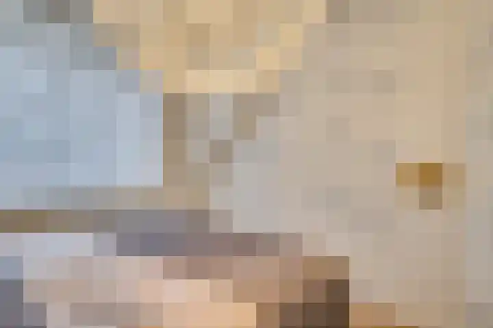 Mariushof 26 Heide thumbnail 19