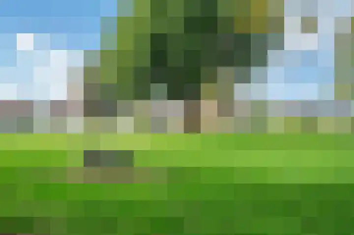 Mariushof 26 Heide thumbnail 47