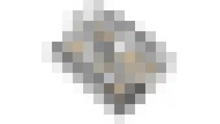 Mariushof 26 Heide thumbnail 56