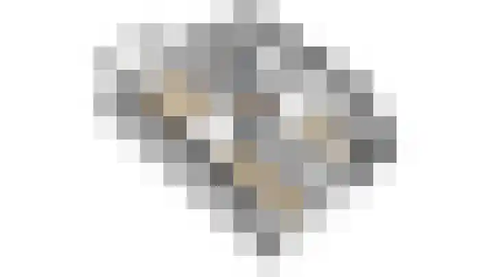 Mariushof 26 Heide thumbnail 57
