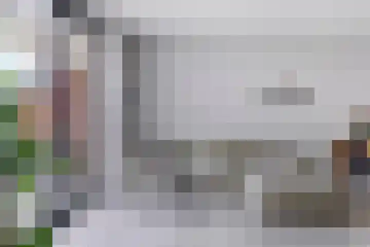 Marjolein 1 Oost West en Middelbeers thumbnail 13