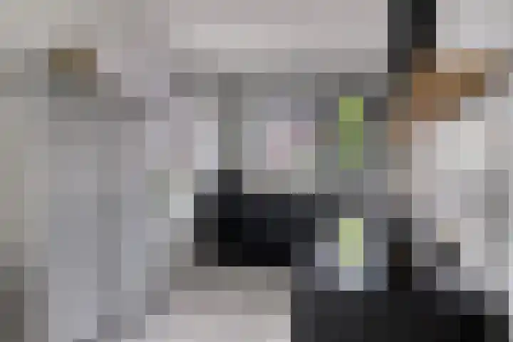 Marjolein 1 Oost West en Middelbeers thumbnail 16