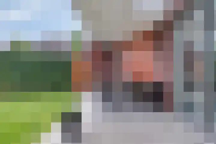 Marjolein 1 Oost West en Middelbeers thumbnail 35