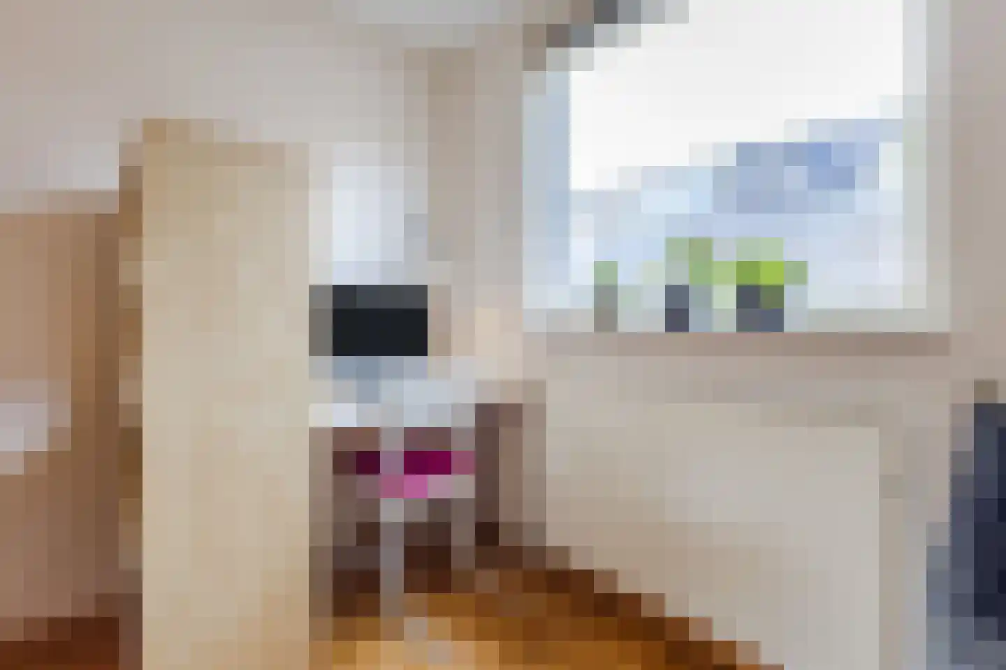 Marjolein 21 Cuijk thumbnail 12