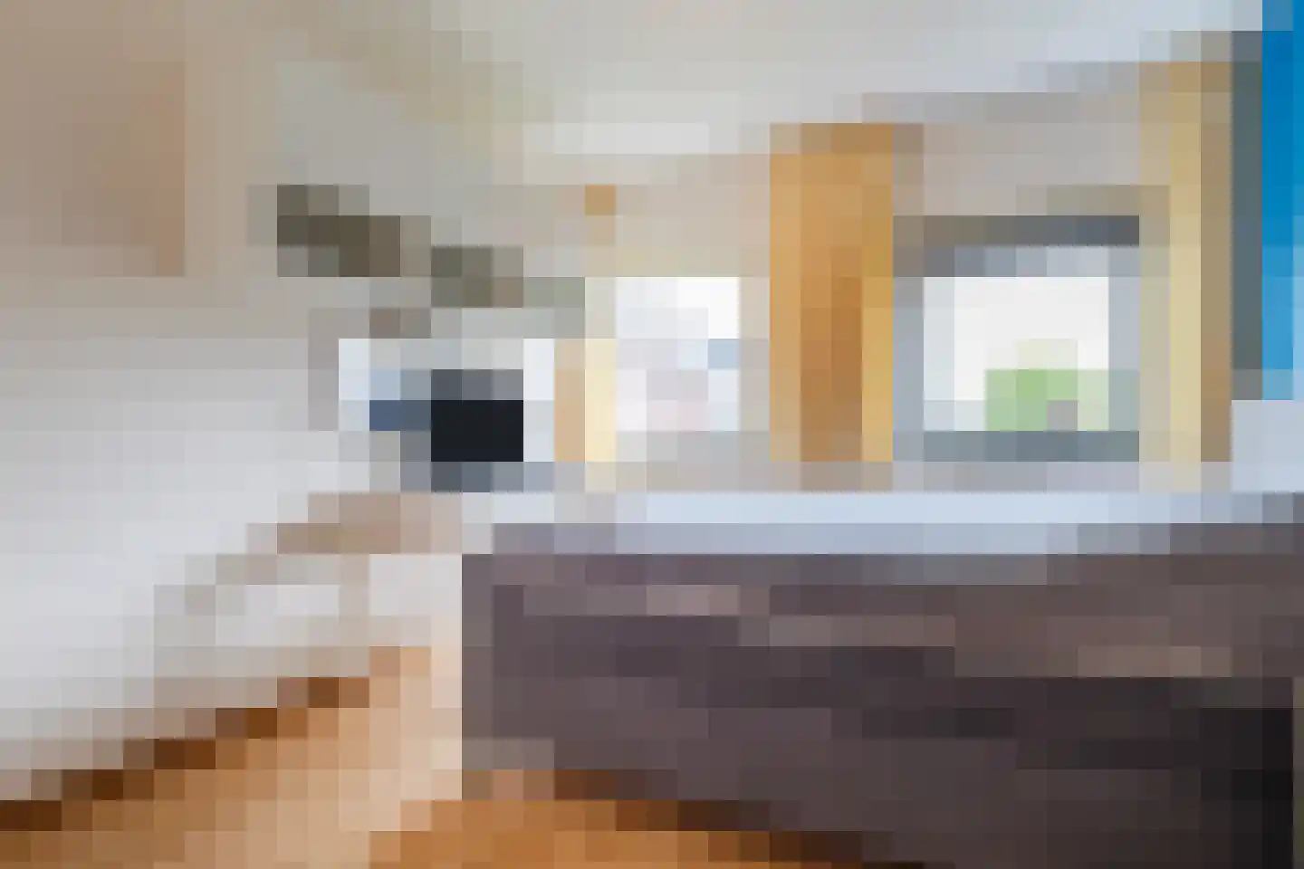 Marjolein 21 Cuijk thumbnail 13