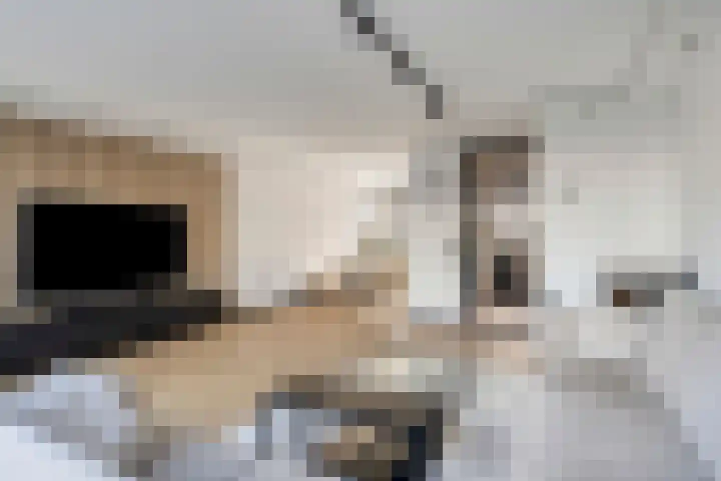 Marjolein 28 Cuijk thumbnail 15