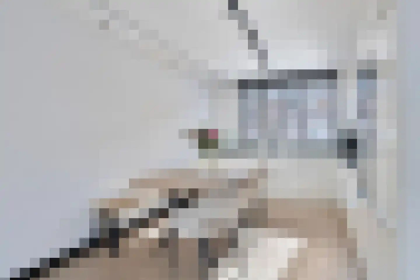 Marjolein 28 Cuijk thumbnail 17