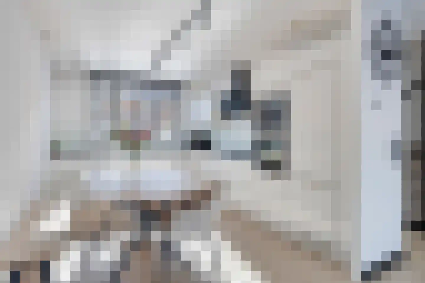 Marjolein 28 Cuijk thumbnail 19