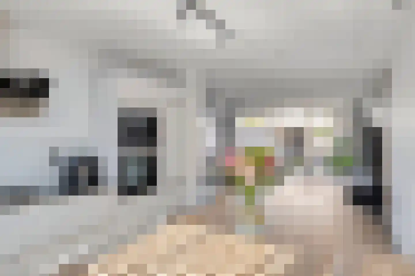 Marjolein 28 Cuijk thumbnail 21