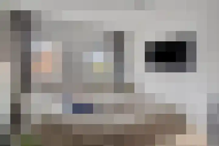 Marjolein 29 Cuijk thumbnail 16
