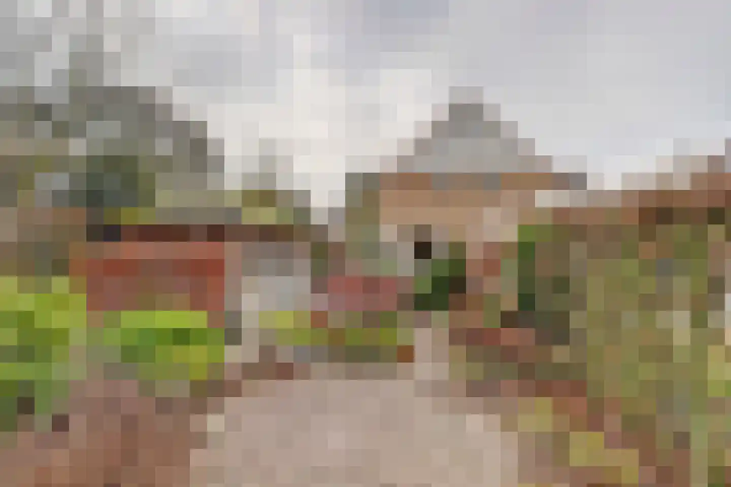 Marjolein 34 Venray thumbnail 27