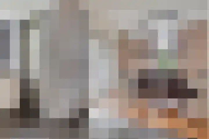 Marjolein 58 Venray thumbnail 9