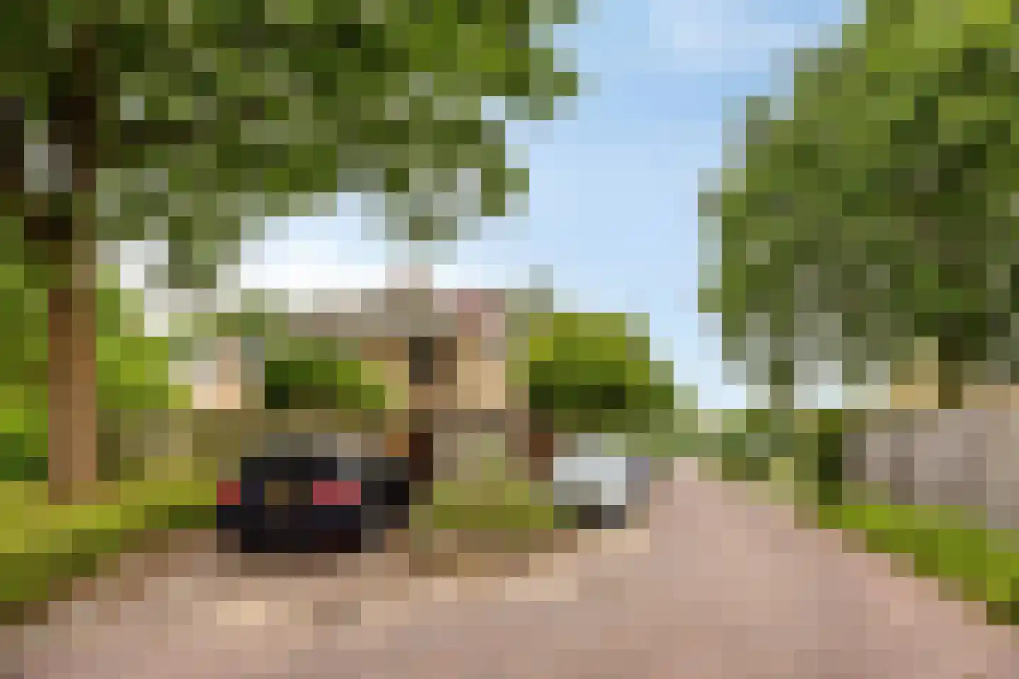 Marjolein 6 Rozenburg thumbnail 5