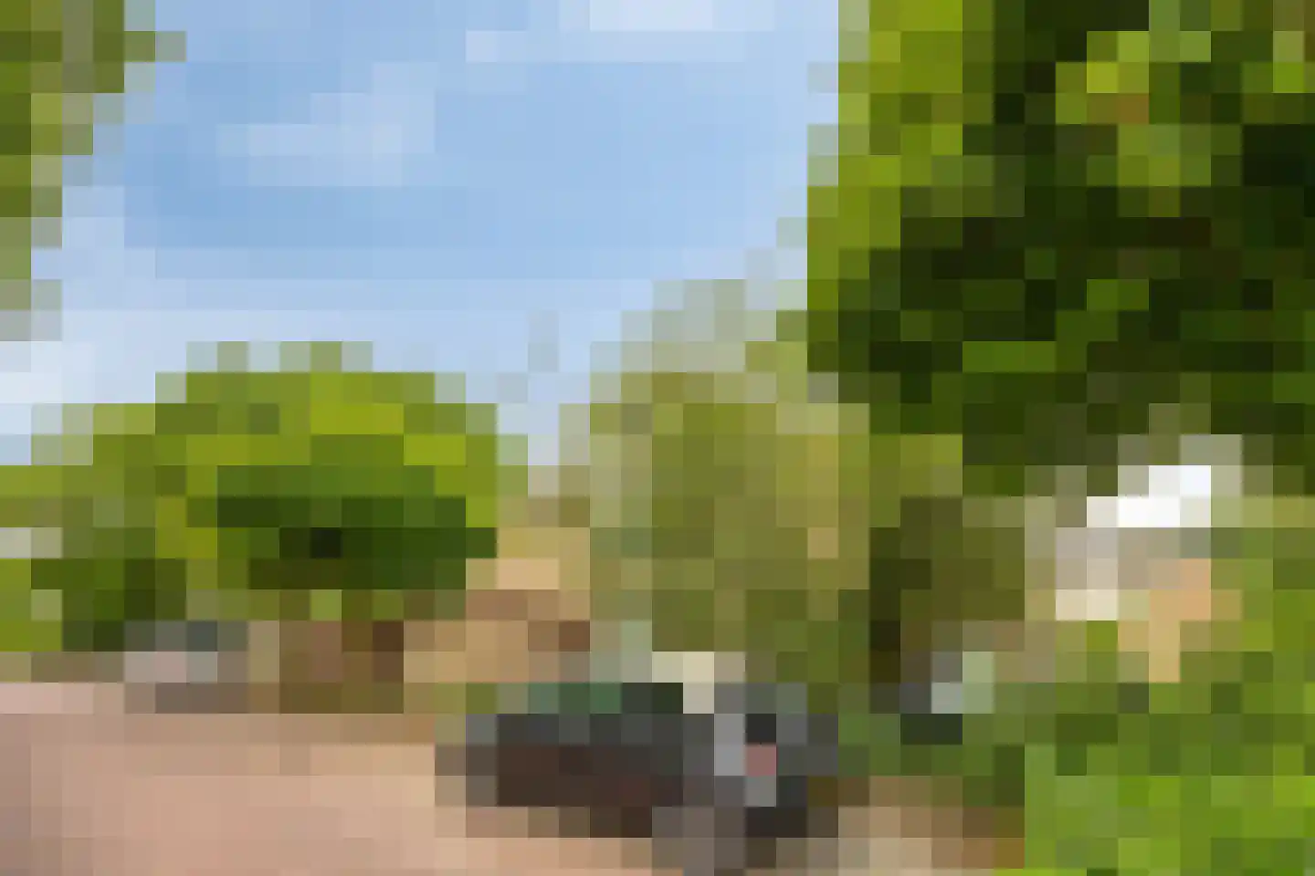 Marjolein 6 Rozenburg thumbnail 6