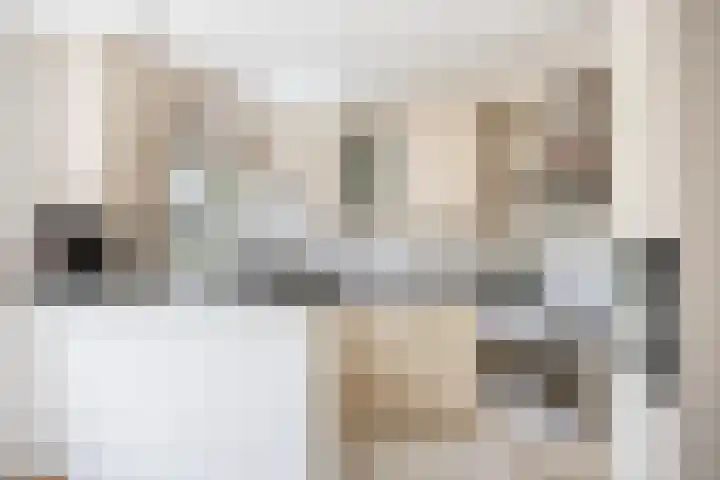 Marjolein 6 Wijhe thumbnail 13