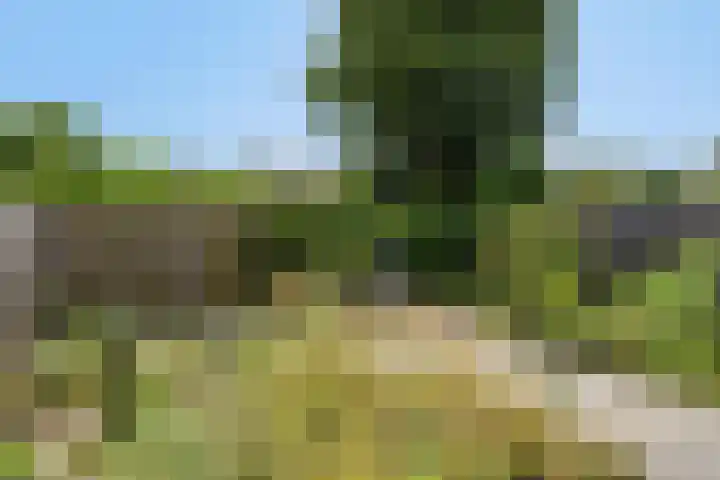 Marjolein 6 Wijhe thumbnail 35