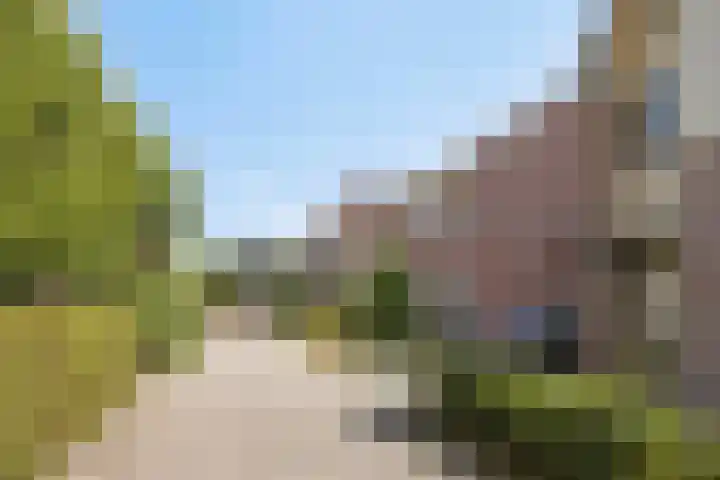 Marjolein 6 Wijhe thumbnail 4