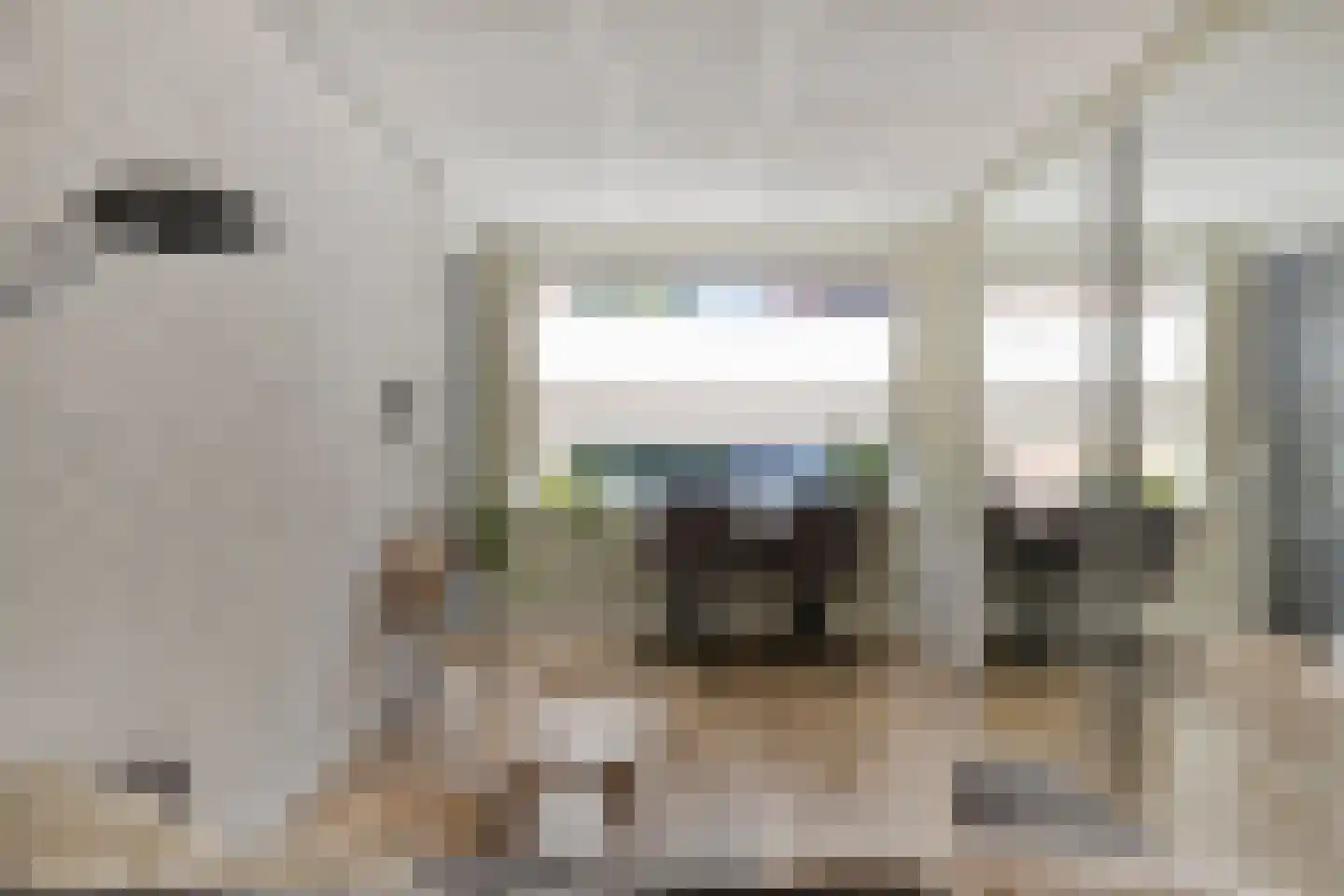 Marjolein 66 Cuijk thumbnail 21