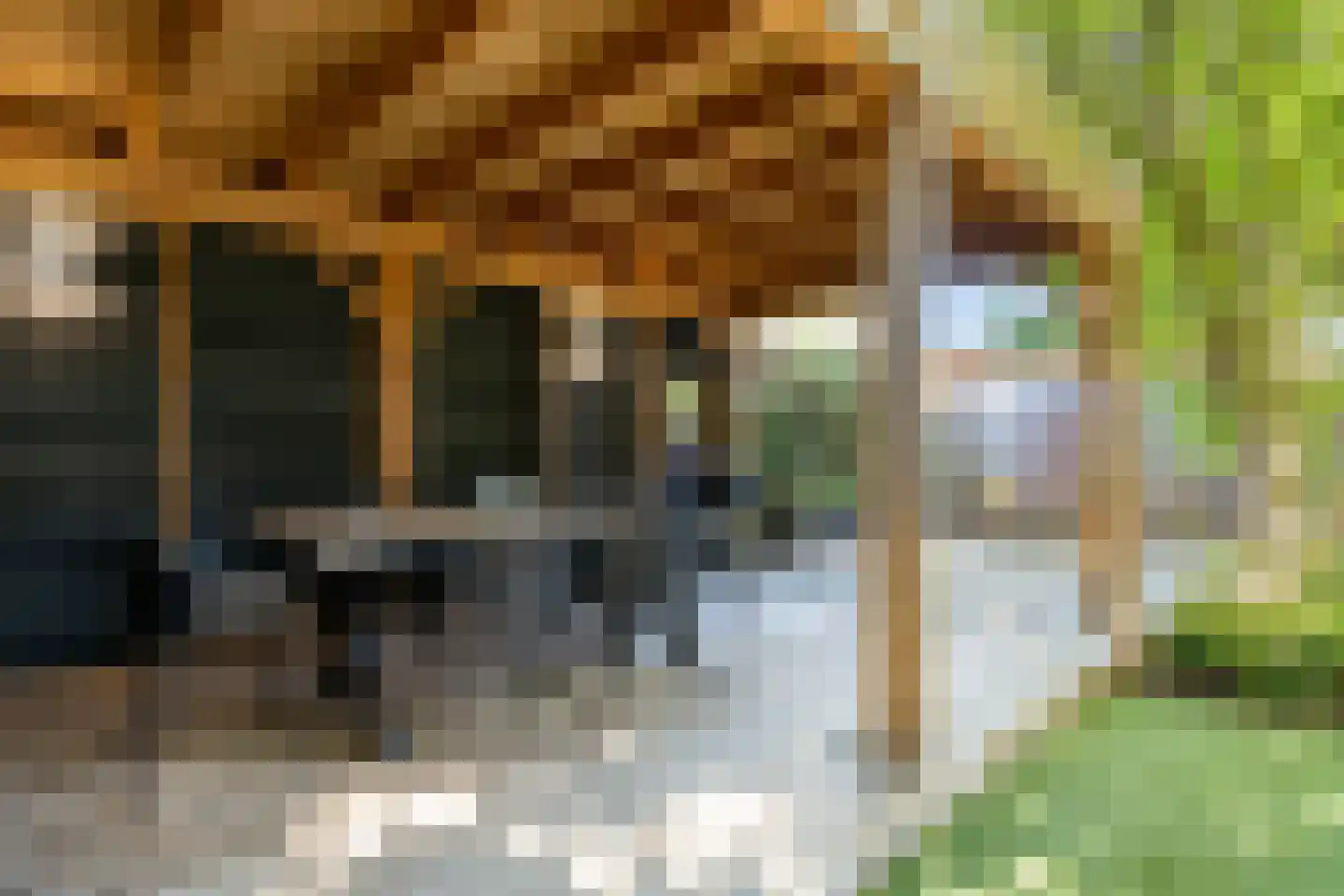 Marjolein 66 Cuijk thumbnail 40
