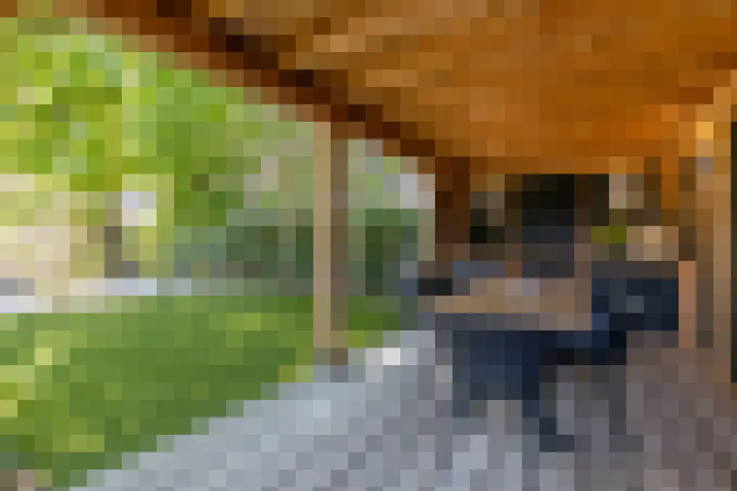 Marjolein 66 Cuijk thumbnail 41