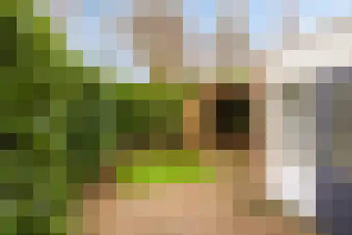 Marjoleingaard 9 Heerlen thumbnail 36