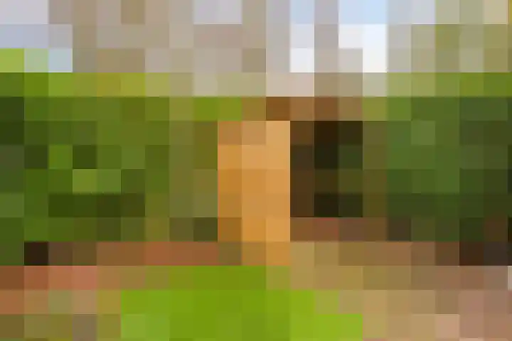 Marjoleingaard 9 Heerlen thumbnail 39